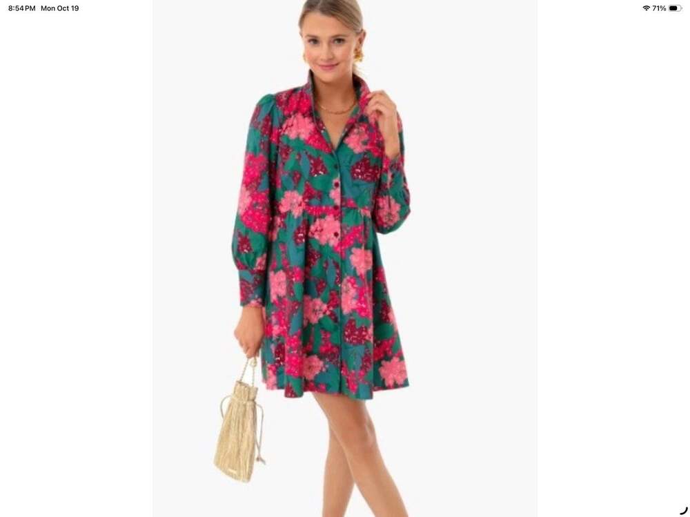 Tuckernuck Hydrangea Florence Shirt Dress Floral Pink Green Small Preppy